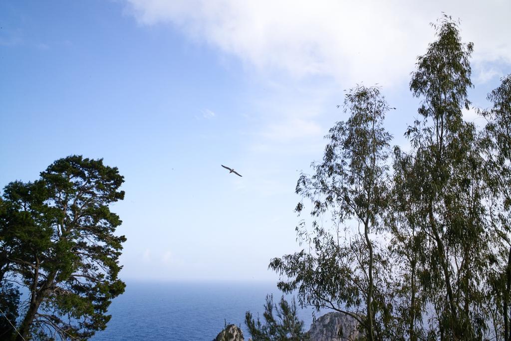 Villacore Capri Ruang foto